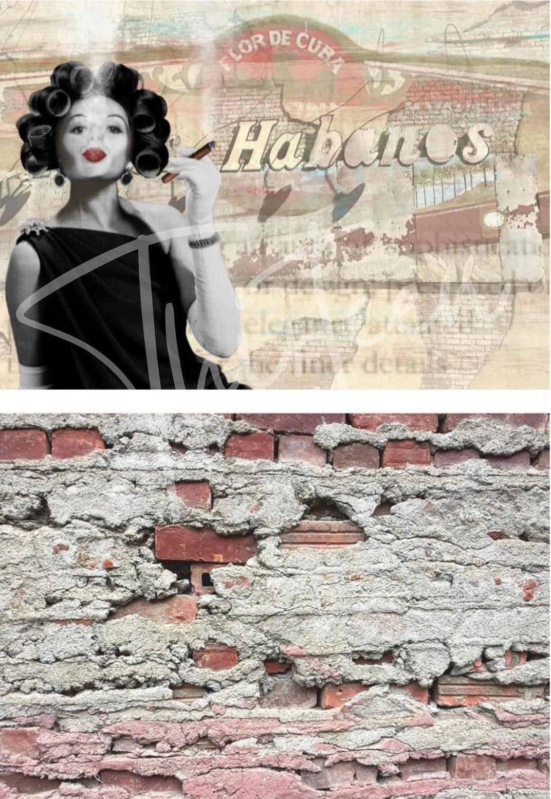 "Fever and Fever Companion Brick" SET Decoupage Paper